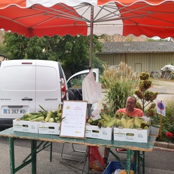 EVOLUSEL_MARCHE_2023